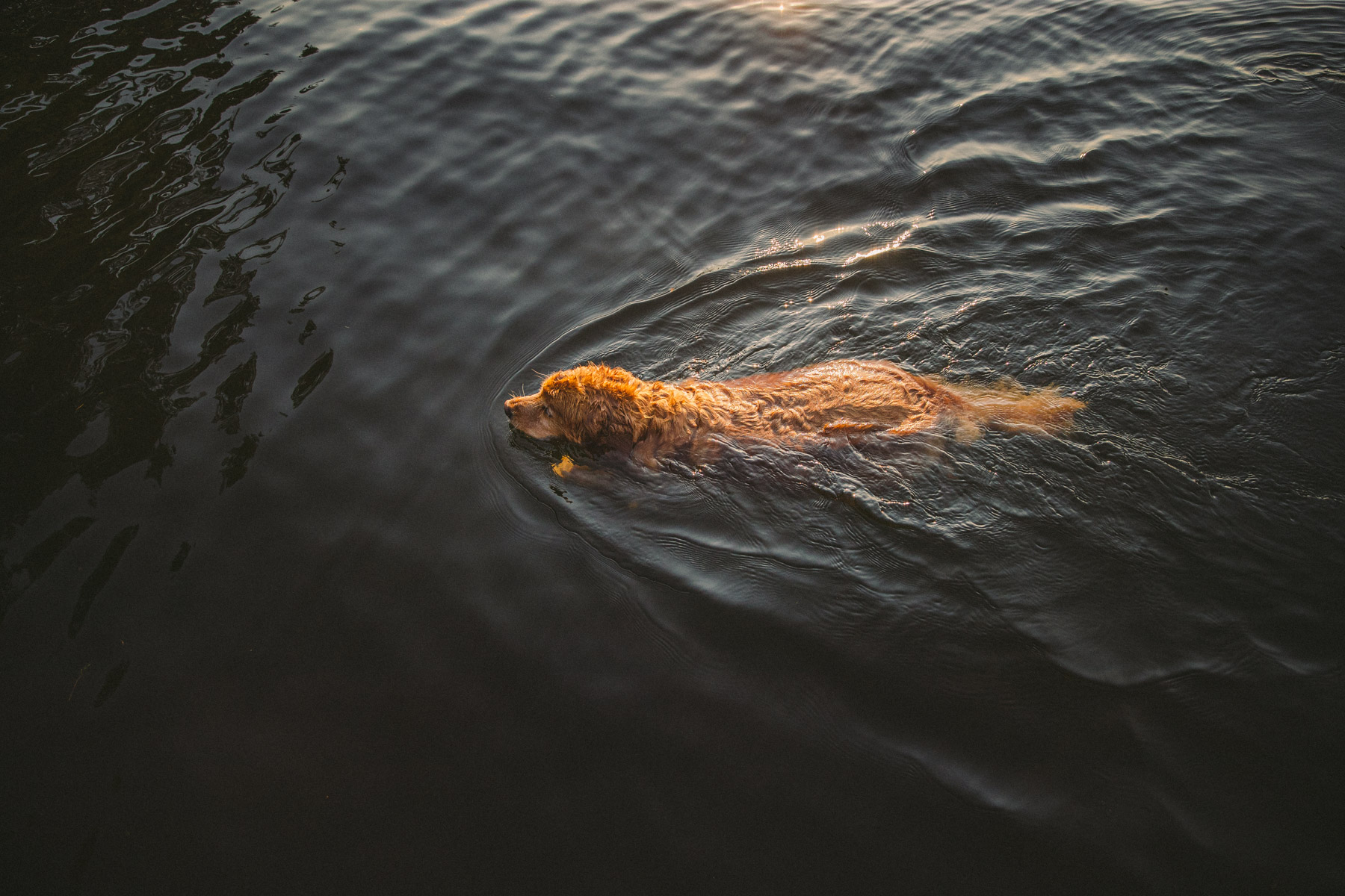 210728_LAKE_MINOCQUA_0586_v3a